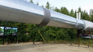 Our First Look at a Segment of the Trans-Alaska Oil Pipeline
