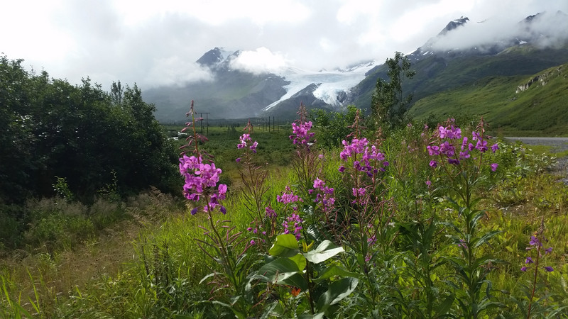 Clouds, Glaciers and Flowers – An Awesome Combination