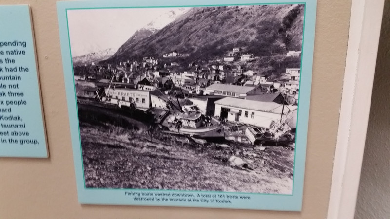 Everybody on Kodiak Island Survived the Initial Tsunami, but Eighteen People Died in Secondary Waves as They Though a Tsunami Wave Was a Single Event