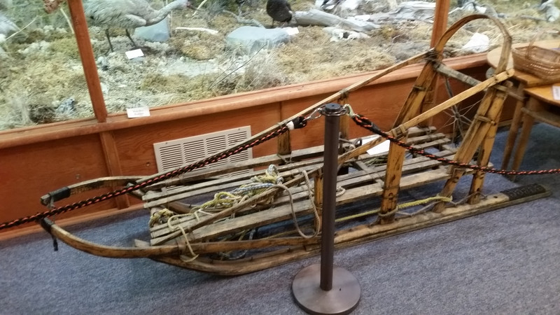 A Dog Sled Is Almost a Requirement in an Alaskan Museum