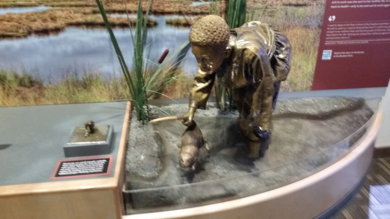 Tubman Was Forced to Set and Check Muskrat Traps in Freezing Water without Proper Clothing or Boots