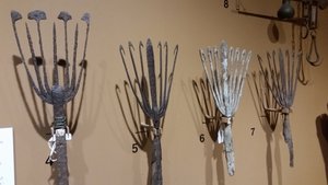 Eel Forks Are a Part of the Fishing Industry