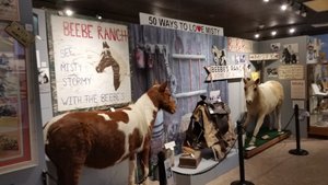 The Chincoteague Ponies Are Not Forgotten