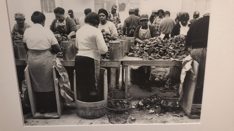 While Oyster Shuckers Were Primarily African-Americans