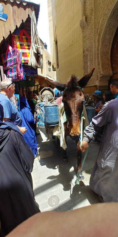Fez City Tour – Fez, Morocco