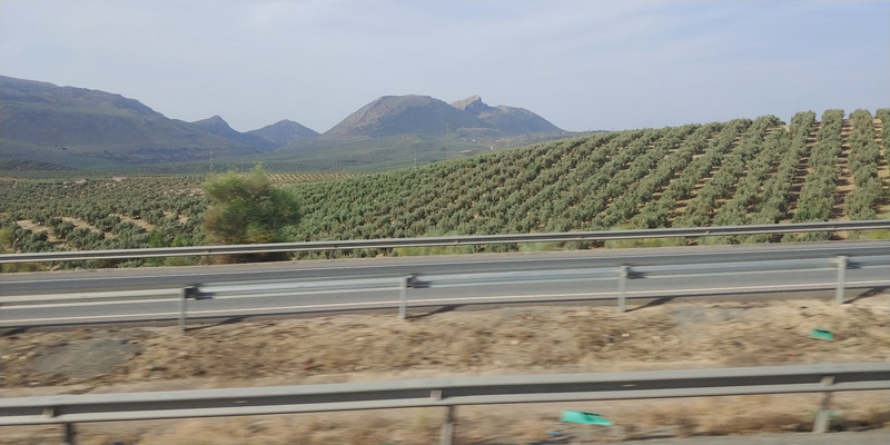 On the Drive to Costa del Sol, Spain