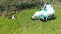 Sheepdog Demonstration – Poulnabrone, Co. Clare, Ireland