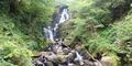 Torc Waterfall – Killarney National Park, Co. Kerry, Ireland