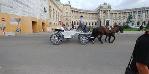 Walking Tour of Vienna, Austria with Walter (What a Gem!)