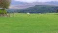 Highland Farm Experience – Leault Farm – Kingussie, Scotland