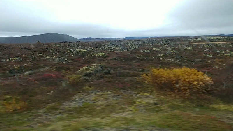 Out and About in Iceland