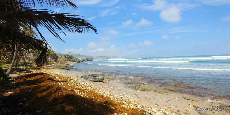 “Barbados Coast to Coast” Shore Excursion