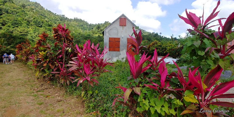 “Touna Aute Carib Native Village” Shore Excursion
