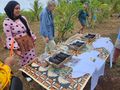 Cultural Land Tour – Vanilla Bean Plantation, Vava'u, Tonga