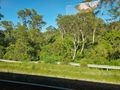 On the Train from Sydney to Melbourne, Australia
