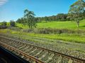 On the Train from Sydney to Melbourne, Australia