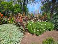 Flagstaff Gardens –  Melbourne, Australia