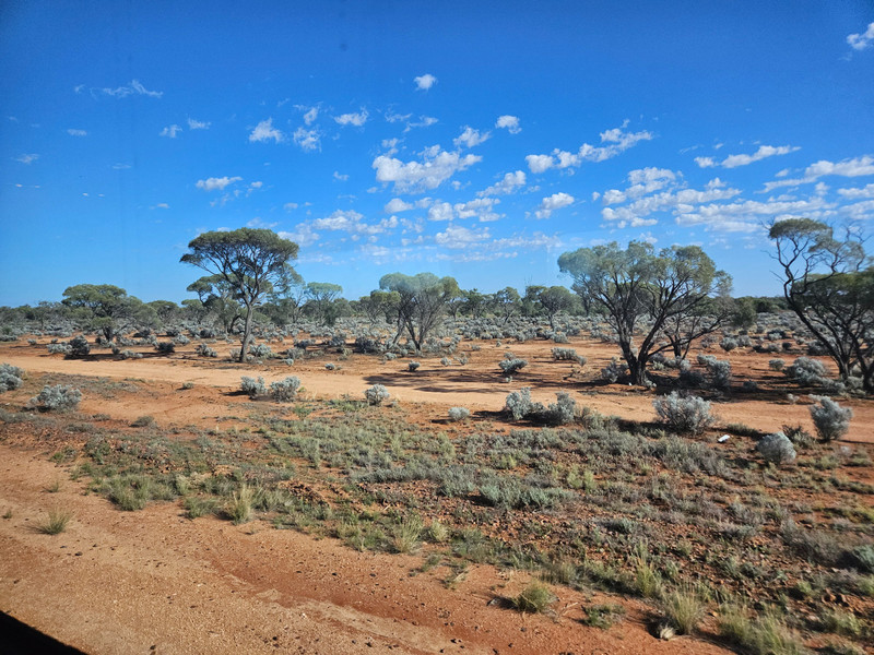 Indian Pacific – Australian Transcontinental Crossing by Rail