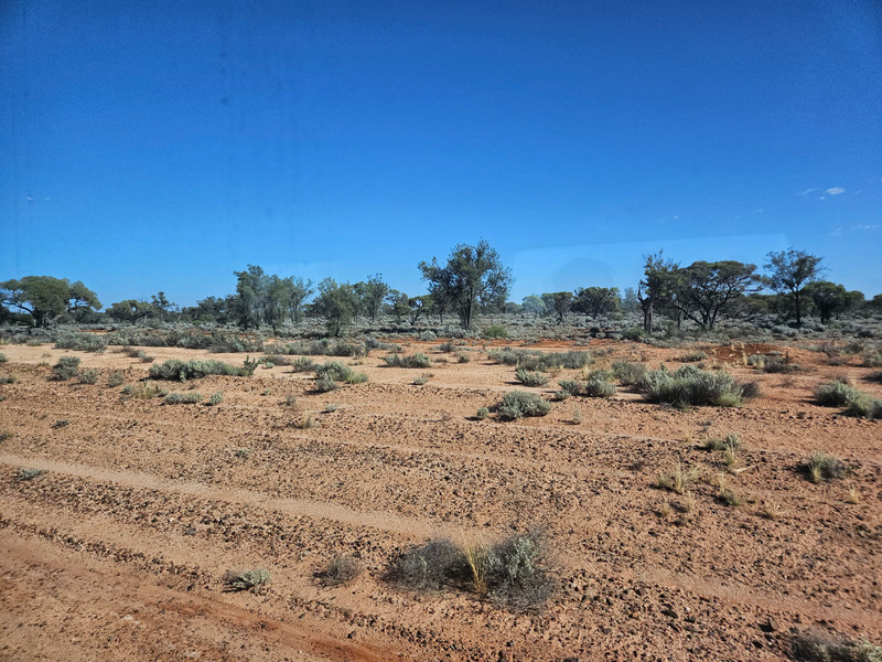 Indian Pacific – Australian Transcontinental Crossing by Rail