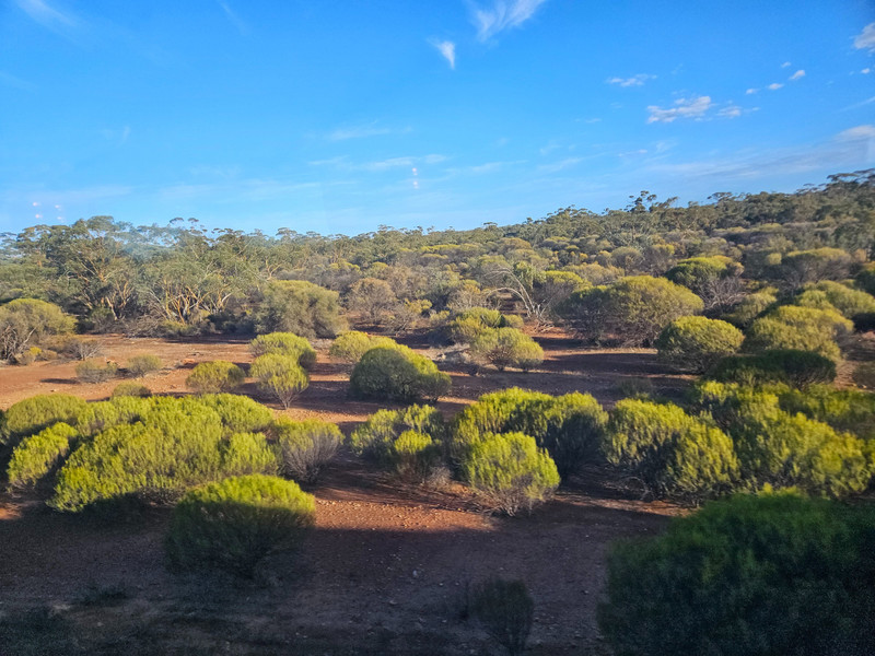 Indian Pacific – Australian Transcontinental Crossing by Rail