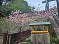 “Nihondaira Outlook & Kunozan Toshogu Shrine“ Shore Excursion – Shimizu, Japan