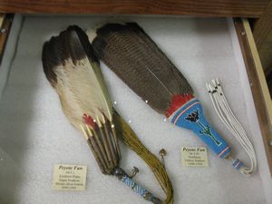 Feather Fans
