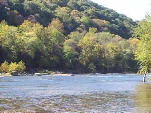 The Shenandoah River