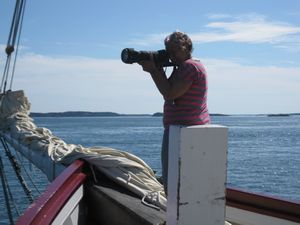 A Telephoto Lens Became Binoculars For Our “Naturalist”