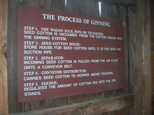 Absent A Docent, The Ginning Process Is Explained Well