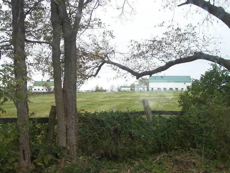 A “Scenic” View Of A Dairy Farm