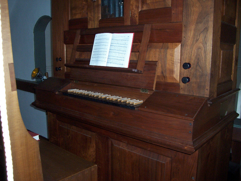 The Organ Is Totally Distinctive