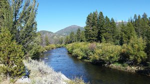 The Big Horn River Near Wise River MT