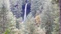 Winter Falls Is One Of Many In Silver Falls State Park