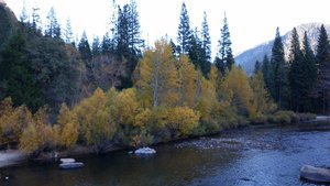 The Fall Foliage Along The South Fork Of The Kings River Was Sporadic But Pretty