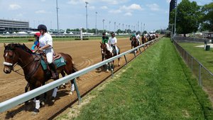 The Entries Moving Behind The Starting Gate