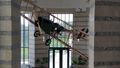 A Replica Of A Jenny – Charles Lindbergh’s First Airplane