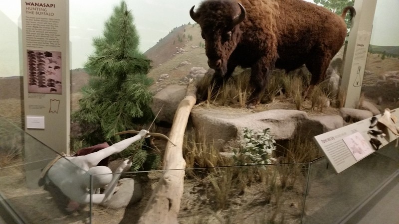 An Interesting Bison Hunting Technique – Note That None Of The Manequins Have Been Painted To Appear Human, But Have A Ghostly Air About Them 