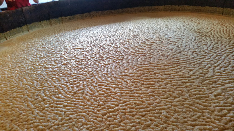 The Corn Mash Vats Are Busy At Work – The Foam Tastes Like Malt