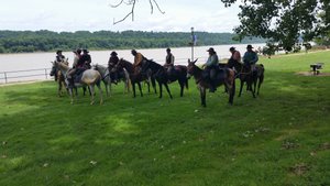 Resting The Horses Before The Assault