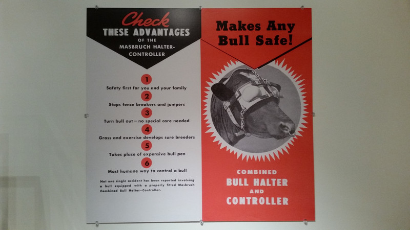 An Advertisement For The Masbruch Bull Halter-Controller Touts Six Benefits