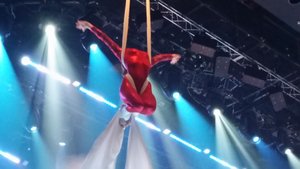 One of the Silk Aerialists Was Performing Almost Directly Overhead