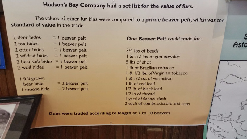 The Beaver Pelt Was the Commodity Standard of the Day