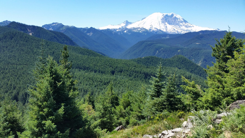 … But There’s No Question, Mount Rainier Is the Rock Star of the Neighborhood