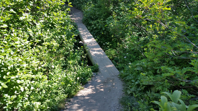 The Trail Is Not ADA Compliant