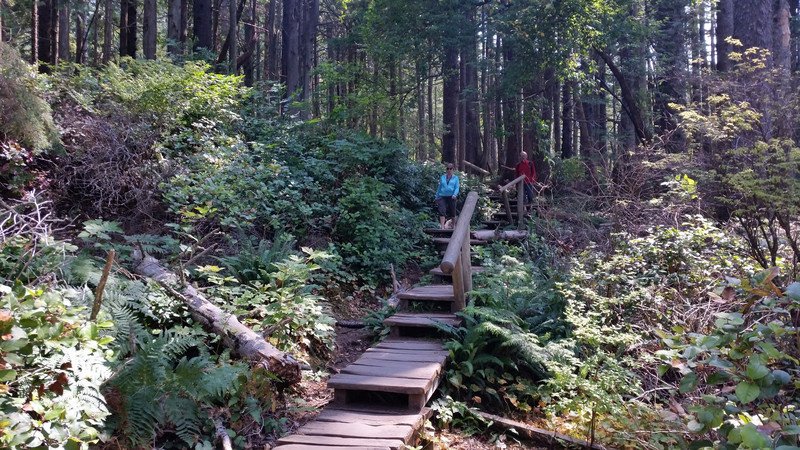 Much of the Trail Is a Boardwalk