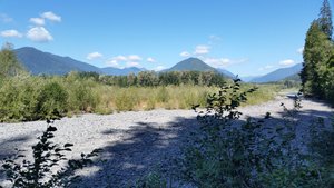 The Quinault River Is Dwarfed by the Riverbed