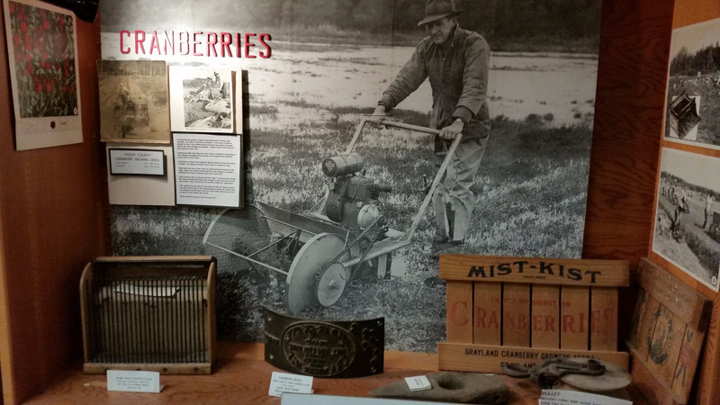 Cranberries – Yup, This Is a LOCAL History Museum