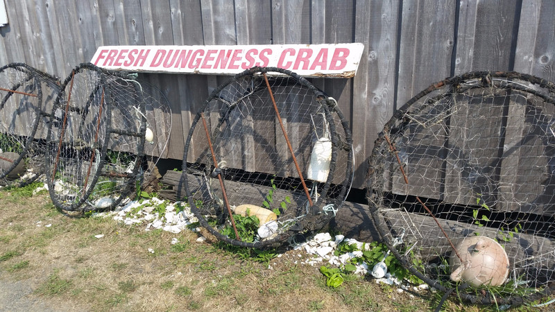Crab Pots Adorn the Exterior of Oysterville Sea Farms