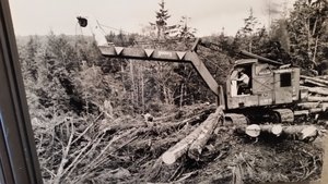 Logging – Yup, This Is a LOCAL History Museum