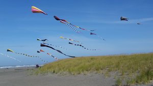 Each Day Offered a Different Theme for the Static Display Kites – I Don’t Know How the Themes Were Chosen